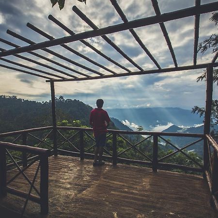 After The Rains - Rainforest Lodge Meppādi Екстериор снимка