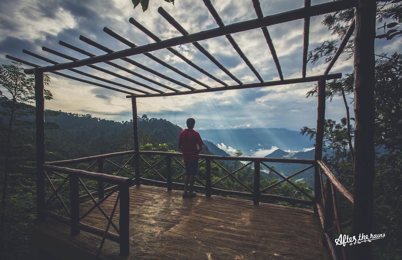 After The Rains - Rainforest Lodge Meppādi Екстериор снимка