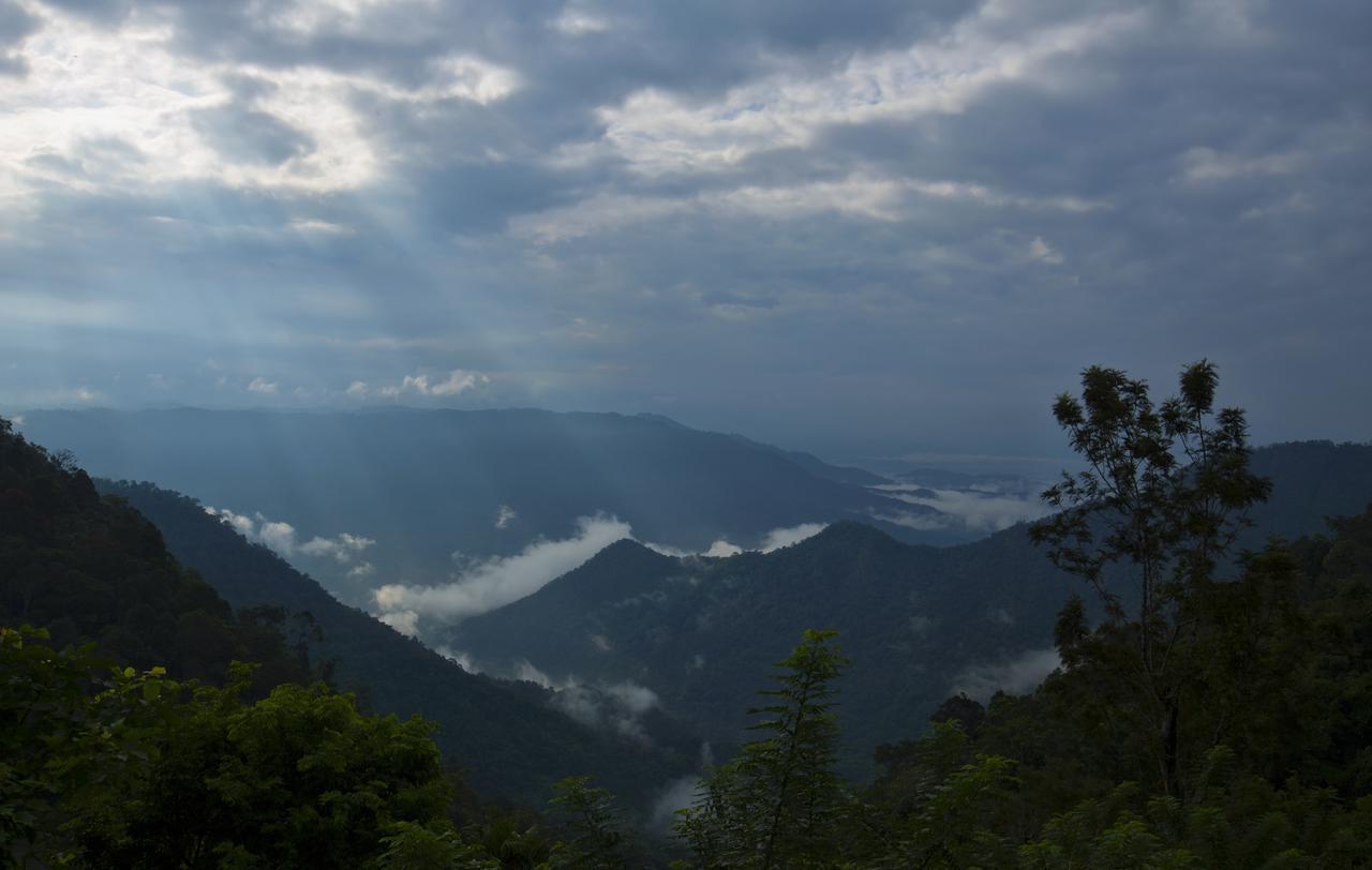 After The Rains - Rainforest Lodge Meppādi Екстериор снимка