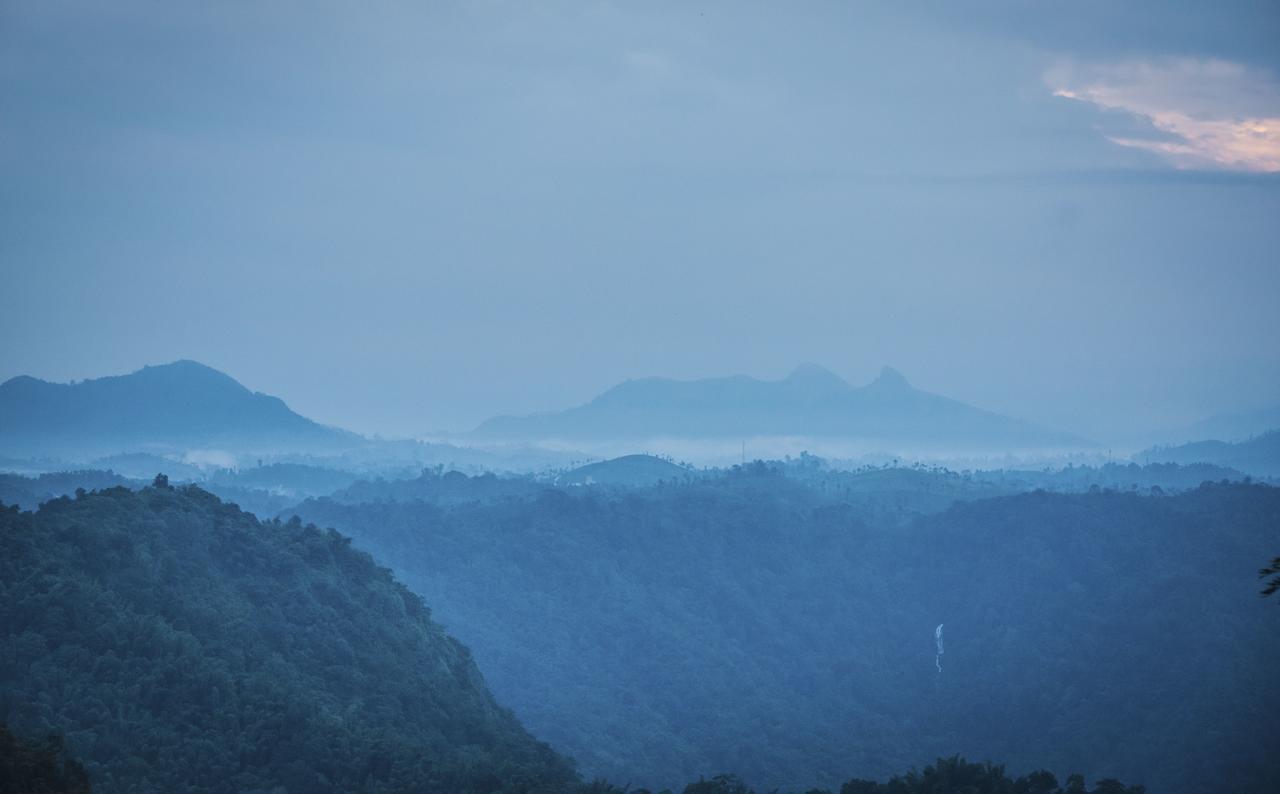 After The Rains - Rainforest Lodge Meppādi Екстериор снимка