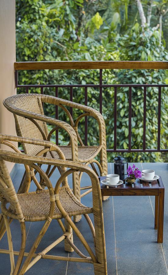 After The Rains - Rainforest Lodge Meppādi Екстериор снимка