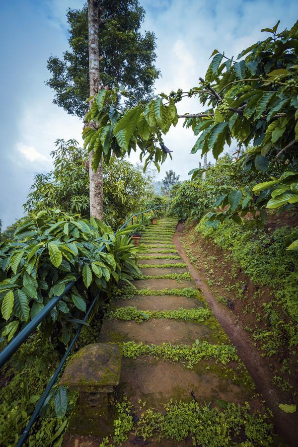 After The Rains - Rainforest Lodge Meppādi Екстериор снимка